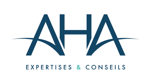 AHA EXPERTISES & CONSEILS (MAURITIUS) LTD